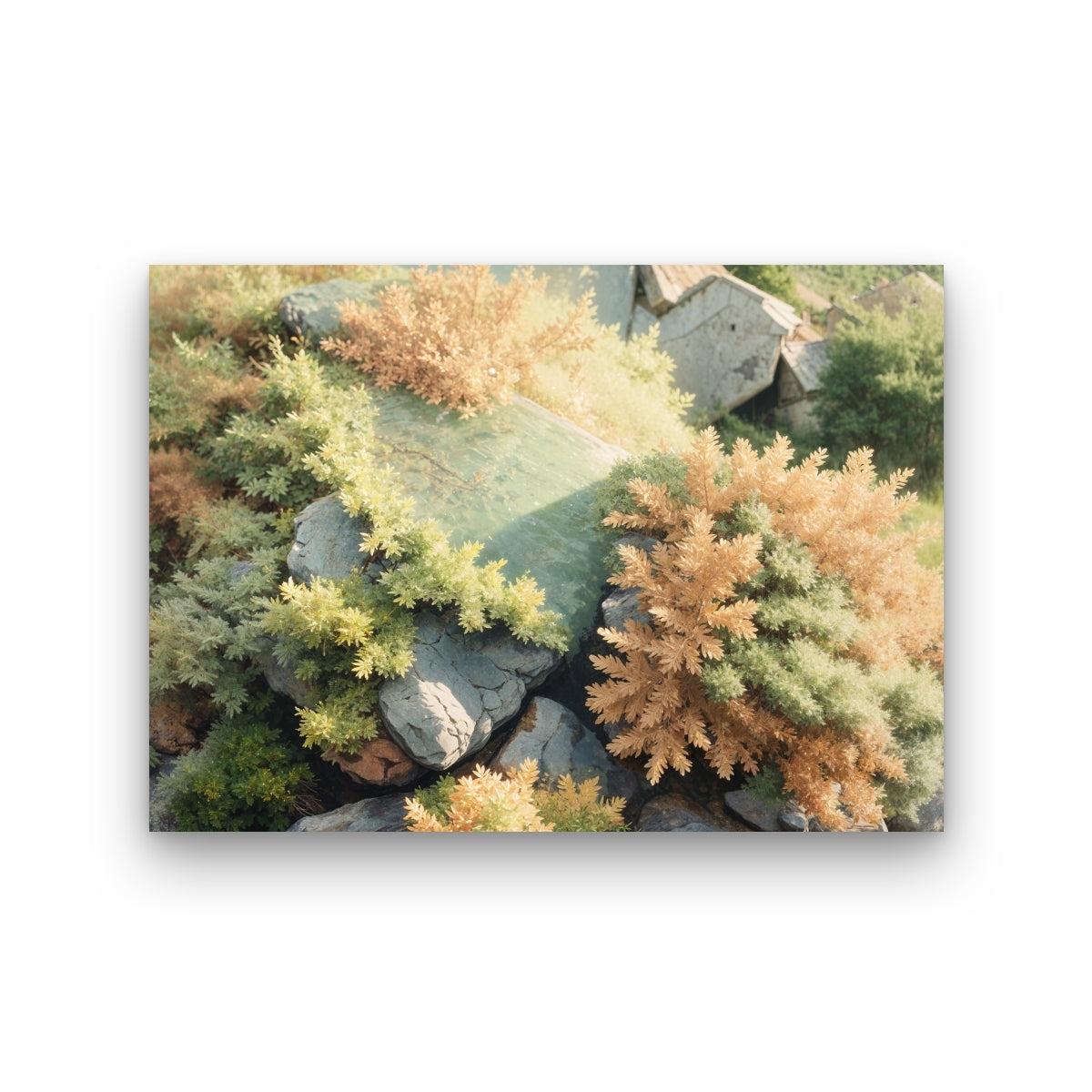 Lichen Maps_landscape