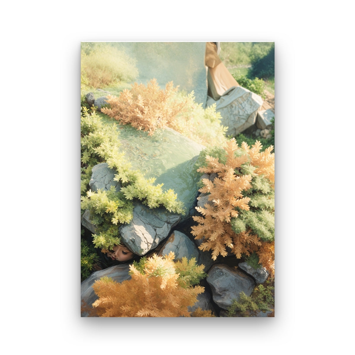 Lichen Maps_portrait